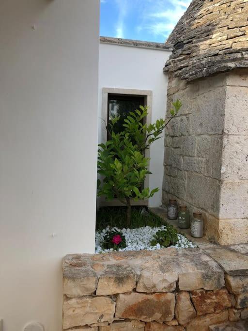 Villa Catia Алберобело Екстериор снимка